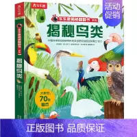 揭秘鸟类 [正版]揭秘鸟类揭秘翻翻书系列儿童科学植物动物鸟类昆虫百科全书3d立体机关书早教认知读物科普类书籍小学启蒙一二