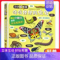 小小探险家第四辑--奇奇怪怪的虫虫 [正版]奇奇怪怪的虫虫小小探险家系列绘本0到3-6岁3d立体书儿童翻翻书低幼动物百科