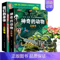 神奇的动物+我们的身体全2册 [正版]全套2册 探秘海洋3d立体书儿童3d立体书套装神奇的动物洞洞翻翻书3一6-8到10