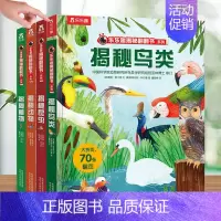 乐乐趣揭秘翻翻书系列第六辑 全4册 [正版]揭秘系列第六辑儿童立体书翻翻机关书儿童百科全书经典早教启蒙科普类书籍幼儿园
