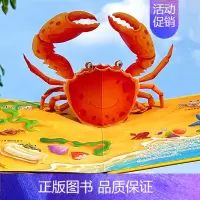 [正版]儿童3d立体书神秘的海洋 幼儿早教书籍启蒙认知翻翻书0-1-2-3-6岁撕不烂宝宝早教书本 奇趣科普立体书儿童绘