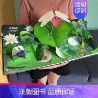 揭秘立体翻翻书-昆虫 [正版]恐龙立体书儿童3d立体书 6-8-10岁以上宝宝绘本故事书揭秘系列翻翻书 我们的中国海洋神