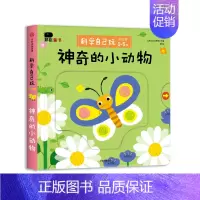 [1-5岁 低幼版] 科学自己玩 神奇的小动物 [正版]邦臣小红花翻翻书幼小衔接0岁立体书1岁绘本0到3岁早教启蒙书2岁