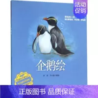 [正版]企鹅绘 彭充,尹小港 编绘 著作 益智游戏/立体翻翻书/玩具书少儿 书店图书籍 中国海洋出版社