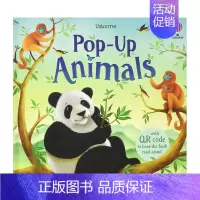 [正版]预 售动物Animals 3-6岁儿童趣味翻翻立体绘本书 英文原版 早教启蒙读物睡前故事书籍进口