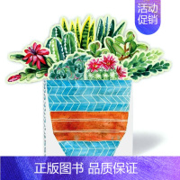 [正版]创意花盆礼品书Succulents in a Book书中多肉 翻翻立体书 英文原版