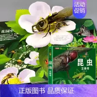 揭秘立体翻翻书 昆虫 [正版]我们的中国立体书儿童3d立体书婴幼儿早教书籍3-6岁以上揭秘海洋动物系列绘本宝宝科普百科