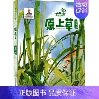 少年与自然.7,原上草 [正版]少年与自然 7 原上草 韩开春 著 益智游戏/立体翻翻书/玩具书少儿 书店图书籍 二十一