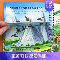 [正版]零销宝宝科学启蒙立体书鸟儿们的新鲜事幼儿早教认知翻翻书 0-3-6岁儿童版十万个为什么撕不烂启蒙认知一到两半岁宝