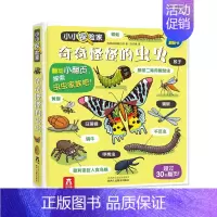 [正版]童书小小探险家第四辑-奇奇怪怪的虫虫 3-4-6岁科普立体翻翻书启蒙认知 低幼儿童百科全书 儿童绘本读物