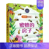 蜜蜂的房子 [正版]单本任选尤斯伯恩偷偷看里面系列全24册0-2-3岁宝宝撕不烂早教启蒙认知翻翻洞洞书动物的家儿童3d立