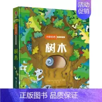 树木 [正版]尤斯伯恩偷偷看里面 蜜蜂的房子 儿童自然科普启蒙认知绘本0-3-6岁宝宝幼儿早教益智书立体书3D翻翻书 英
