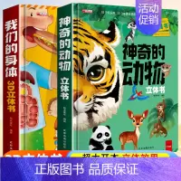 [升级版 全2册]神奇的动物+我的身体 [正版]环游世界我们的中国立体书儿童3d立体书 揭秘系列翻翻书儿童绘本3-6-8
