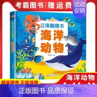 海洋动物 [正版]好好玩立体手指触摸书 0-3-6岁宝宝撕不烂早教书 幼儿绘本亲子阅读故事书3d立体翻翻书 海洋动物儿童