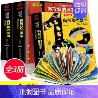 [正版]洞洞创意学习书全3册 有形状的神奇的字母汉字数字 0-1-2-3岁书幼儿早教益智启蒙认知翻翻书 3-6岁幼儿园小
