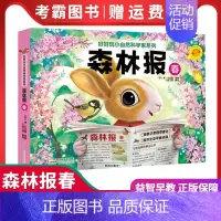 森林报 (春) [正版]森林报春夏秋冬全四册 好好玩生命立体书 小自然科学家系列0-3-6-9周岁儿童3d立体书翻翻书小