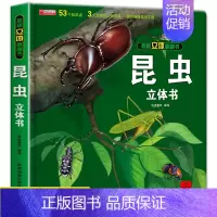 [昆虫]揭秘立体翻翻书 单册 [正版]恐龙灾难救援揭秘系列儿童翻翻书3d立体书情景体验动物昆虫海洋汽车医院太空百科绘本精