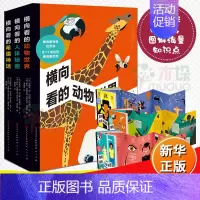 [正版]横向看的动物世界人体秘密希腊神话全套3本3-4-5-6岁幼儿园宝宝小学生普百科翻翻书3d立体玩具折页书动物幼儿百