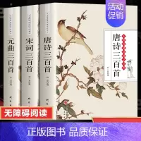[正版]完整版唐诗三百首全集唐诗宋词元曲三百首全解 全注全译 初中生高中生小学生版中国古诗词大全全套3册