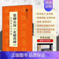 翰墨诗词大汇 中国历代名碑名帖丛书 集柳公权玄秘塔碑 王安石七言古诗 [正版]翰墨诗词大汇 中国历代名碑名帖丛书 集柳公