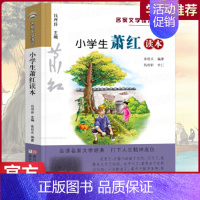 小学生萧红读本 [正版]小学生陆游读本/名家文学读本 彩图注释版三四五六年级课外书儿童文学读物中国古代名人传记古诗词课外