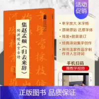 标准 [正版]集赵孟頫归去来辞 陶渊明五言古诗 翰墨诗词大汇 中国历代名碑名帖丛书 陆有珠著行书毛笔字帖临摹书籍碑帖米字