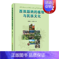 [正版]西双版纳的植物与民族文化 裴盛基研究植物和人类相互关系的民族植物学图书少数民族生物景观文化许又凯 上海科学技术出