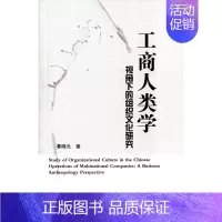 [正版] 工商人类学视角下的组织文化研究 綦晓光 书店 文化研究书籍 书 畅想书