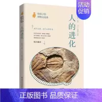 [正版]新书 给孩子的博物文化课 人的进化 考古学教授博士生导师后晓荣博物馆研究员倾力人类进化历史进程博物文化启蒙课科普