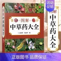 [正版]图解中草药大全 中草药大全中药书书籍中药材图解药用药配方医学类医书籍中医千金方黄帝内经本草纲目彩图图书草药书中