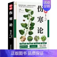 白话彩图典藏版[-伤寒论] [正版]伤寒论成年人养生中医书籍大全 彩图典藏版含原文注释译文 杂病论医药大全中医书籍中草药