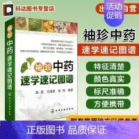 [正版]袖珍中药速学速记图谱 图解中草药大全 中医书籍 中草药中药药材品种类鉴别区分 中药学名名称大全教程书籍 药材分类