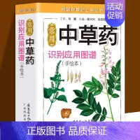 常用中草药识别应用图谱-手绘本 [正版]常用中草药图谱手册大全书籍 一分钟速查中草药全图鉴 识别应用图谱手绘本 按药用部