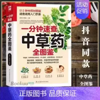 一分钟速查中草药全图鉴 [正版]常用中草药图谱手册大全书籍 一分钟速查中草药全图鉴 识别应用图谱手绘本 按药用部位分类