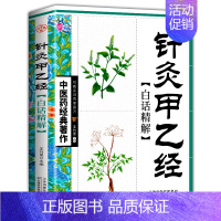 [正版] 针灸甲乙经白话精解 中医药经典著作中华养生经典白话精解养生经中医参考书籍中医养生保健中医学入门书籍类书籍