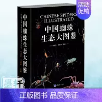 [正版]图书 中国蜘蛛生态大图鉴 张志升著 重庆大学科普图鉴书籍 记述各种蜘蛛物种分类 形态特征 生活习性 生存环境等信