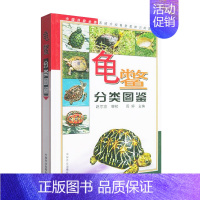 [正版]书龟鳖分类图鉴180余种龟鳖动物分类分布形态特征及其生活习性介绍龟鳖动物的起源演化历史及我G龟鳖动物书籍