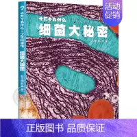 细菌大秘密 [正版]全套5册十万个为什么 少年科学馆 达尔文密码细菌 大秘密互动的自然 植物私生活 驯化的力量百科全书少