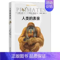[正版]人类的表亲 博物文库 生态与文明系列 灵长类百科全书 北京大学出版社 科普读物图书籍 灵长类动物的体貌形态和生活
