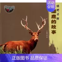 [正版]绿野寻踪:麋鹿的故事 丁玉华 著作 科技综合 生活 中国林业出版社 医学类专业知识书籍 图书