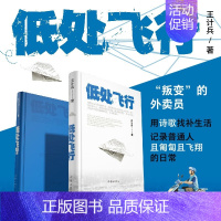 [正版]低处飞行 现象级网红诗人王计兵 海量报道 2600多万人阅读 “叛变”的外卖员用诗歌找补生活 记录普通人且匍匐且