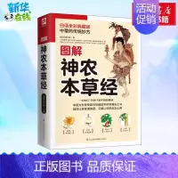 图解神农本草经 [正版]图解神农本草经 白话全彩典藏版 高海波,谭兴贵 编 中医养生生活 书店图书籍 江苏科学技术出版社