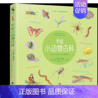 手绘小动物百科 [正版]手绘小动物百科 200种生活中常见小动物趣味知识 未读出品童书绘本提高审美独立思考儿童睡前故事益