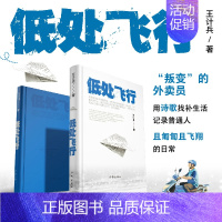 [正版]低处飞行 现象级网红诗人王计兵 海量报道 2600多万人阅读 “叛变”的外卖员用诗歌找补生活 记录普通人且匍匐且