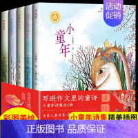 [全5册]当代华文儿童诗丛书 [正版]写进作文里的童诗 全5册 回望麦田有一种颜色叫做花里的风车田野里的诗行 小学生