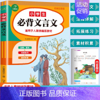 小学生必背文言文 [正版]抖音同款写给青少年的古文观止全套5册 文言文译注详解注音版白话文青少版小学生版初中生高中儿童版