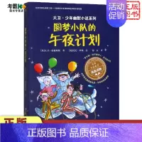 [正版]大卫.少年幽默小说系列 圆梦小队的午夜计划 8-12岁三四五六年级儿童文学书籍 家庭教育优选读物幽默治愈成长小