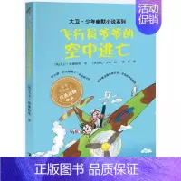 飞行员爷爷的空中逃亡 [正版] 大卫少年幽默小说了不起的大盗奶奶 罗尔德.达尔三年级课外书英国家庭教育读物6-12岁儿童