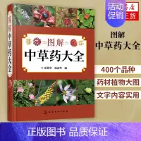 [正版]图解中草药大全 中医入门中草药大全书籍药材植物彩图中药大全 中医养生保健大全中草药识别百科全书 本草纲目中草药识