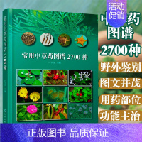 [正版] 常用中草药图谱2700种 叶华谷药书中草药大全书籍 中草药彩色图谱高清大图 中医中药学 中草药辨别 中草药野外